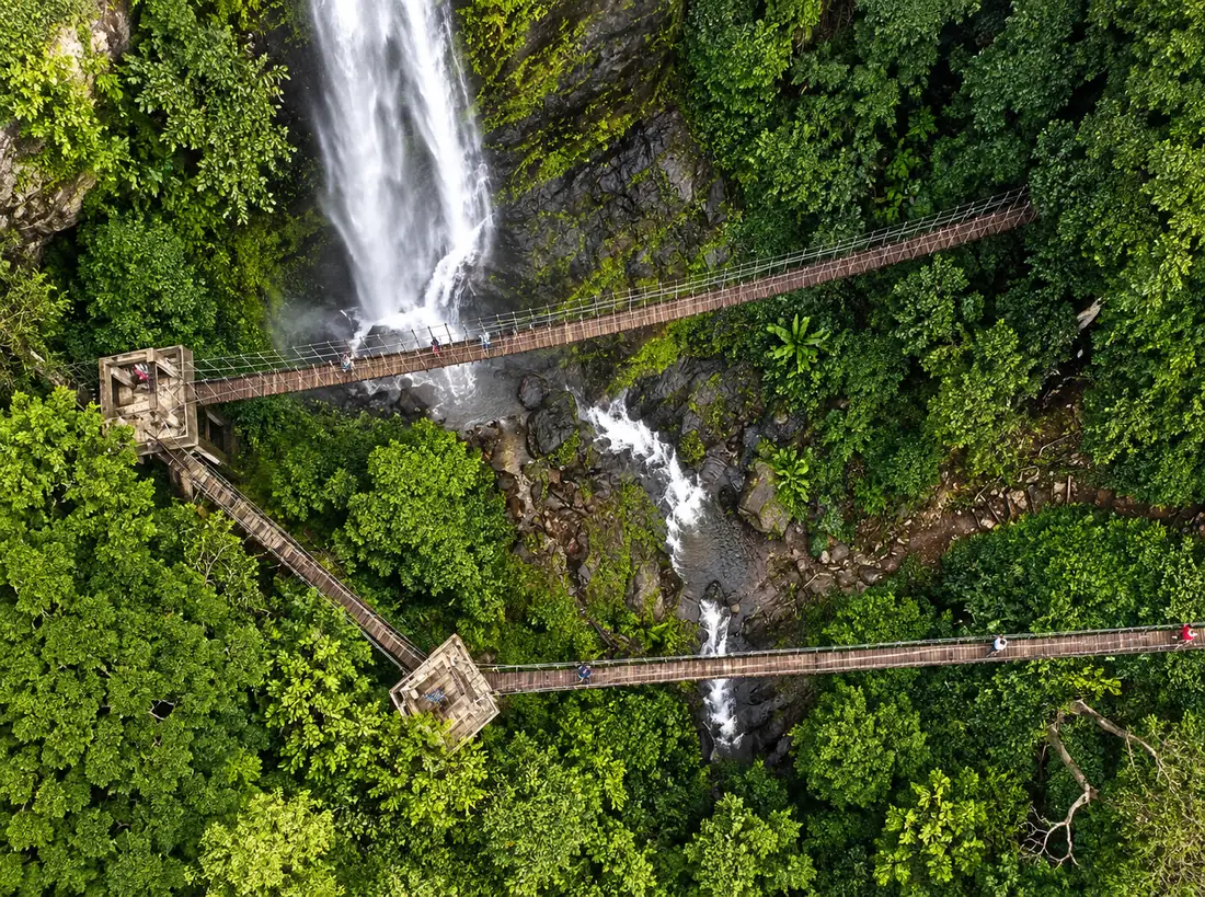 Aerial view of the Onepone canopy walkway: linked rope bridges and timber platforms spanning a forested gorge above the waterfall.